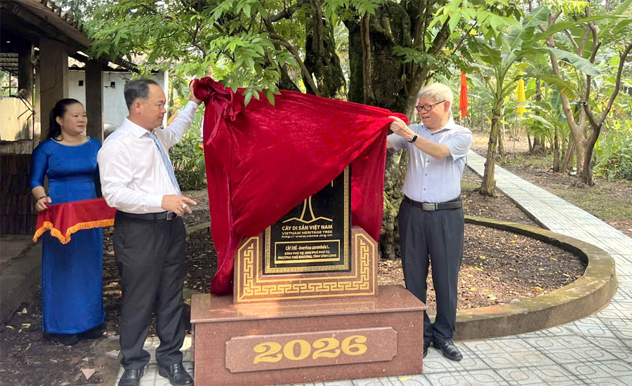 C&ocirc;ng[-]nhận[-]C&acirc;y[-]Di[-]sản[-]Việt[-]Nam[-]v&agrave;[-]x&aacute;c[-]lập[-]kỷ[-]lục[-]&ldquo;Thi&ecirc;n[-]ni&ecirc;n[-]cổ[-]mộc&rdquo;